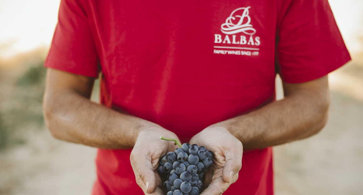 BODEGAS BALBÁS