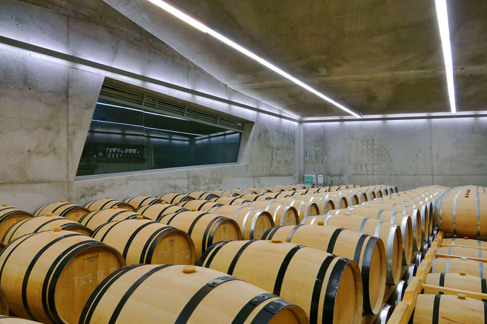 Bodega en la Ribera del Duero