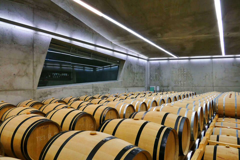 Bodega moderna