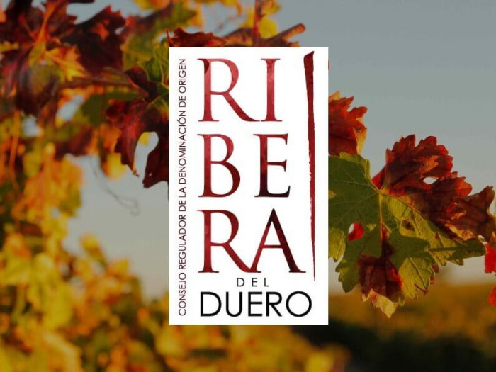 Logo Ribera del Duero